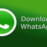 Download WhatsApp Apk