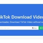 Download Video TikTok HD Tanpa Watermark Menggunakan Snaptik