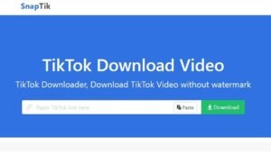 Download Video TikTok HD Tanpa Watermark Menggunakan Snaptik