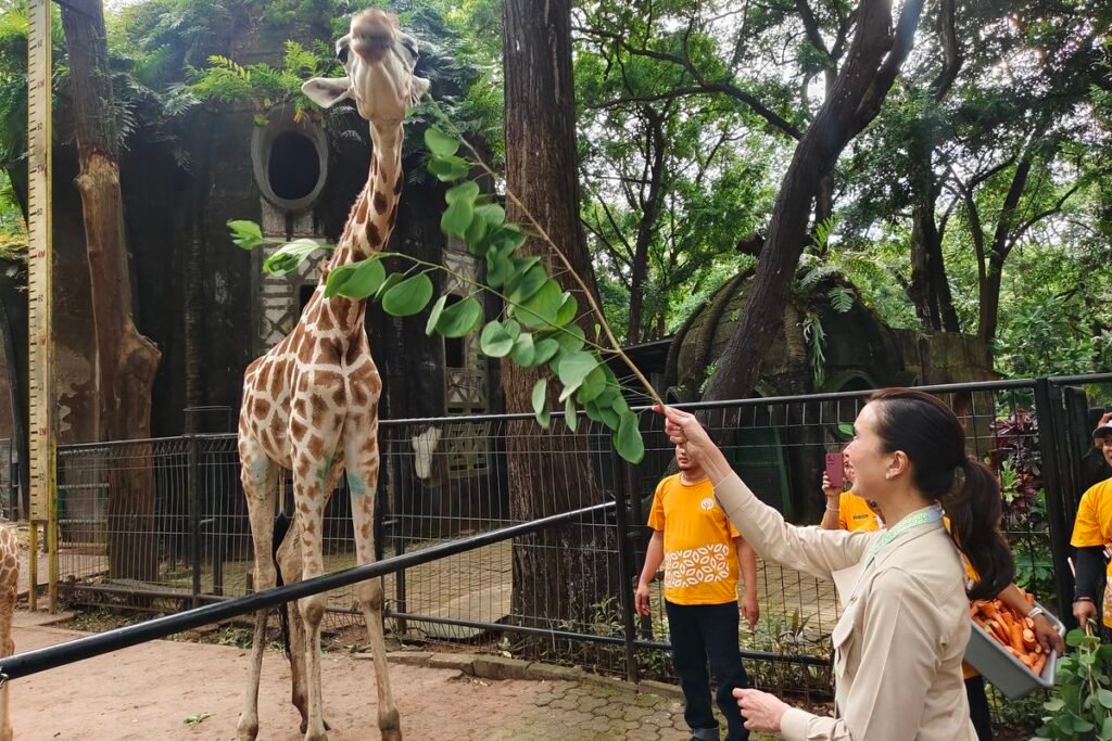 Ragunan Diprediksi Ramai 600.000 Wisatawan Lebaran 2025