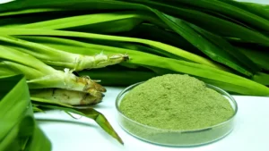 Khasiat Daun Pandan untuk 8 Penyakit