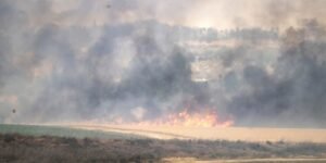 Negara-negara Kirim Bantuan Kebakaran Israel