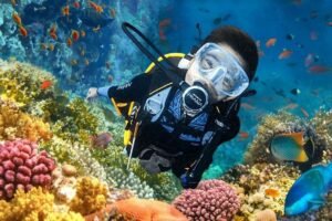Scuba Diving Kian Populer di Kota Surabaya