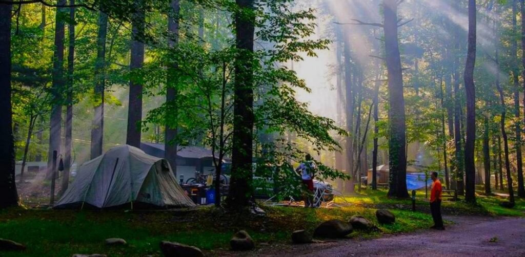 Camping di Tepi Pantai: Menikmati Keindahan Alam dan Kedamaian Ombak