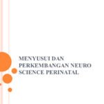 Data Science: Menjelajahi Lautan Informasi di Era Digital