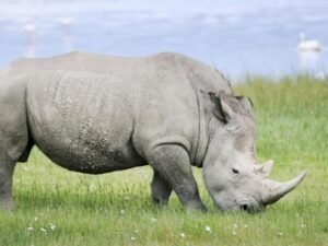Era Baru Powerbank: Lebih dari Sekadar Pengisi Daya Darurat