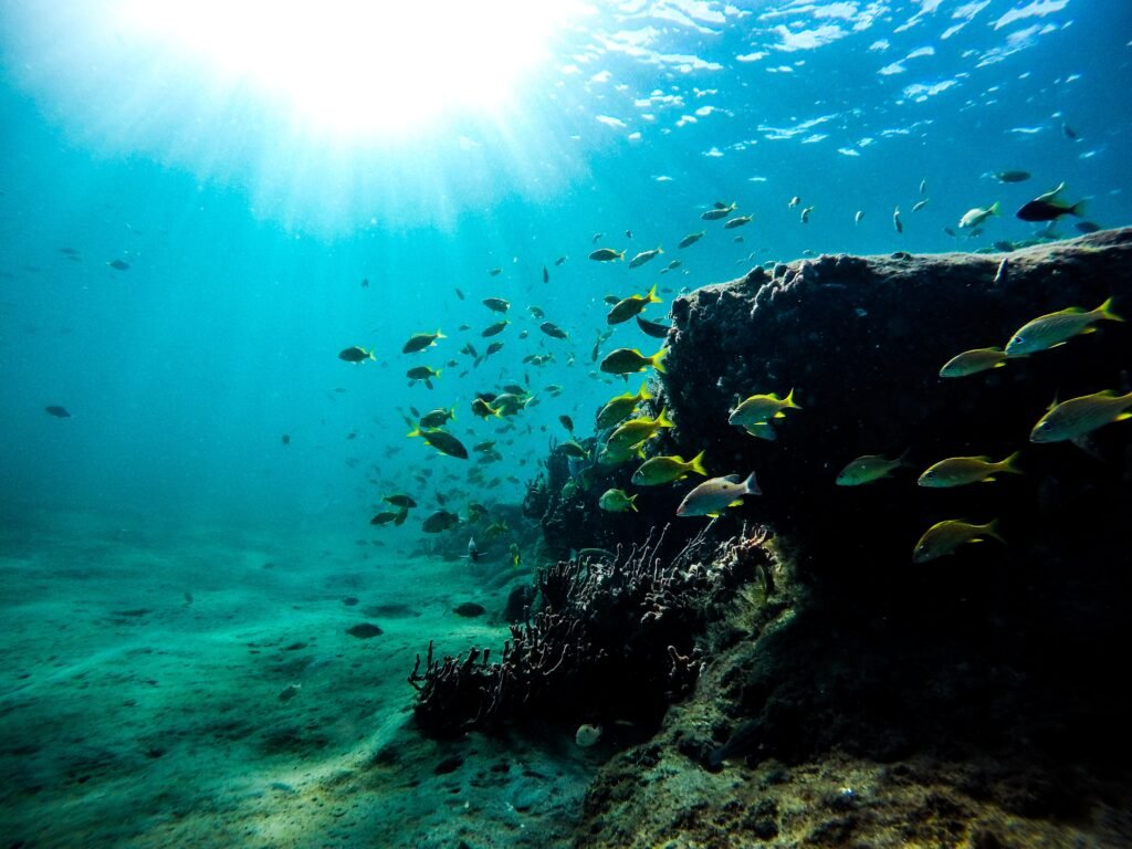 Kota Bawah Laut: Menjelajahi Teknologi dan Masa Depan Tempat Tinggal Manusia di Kedalaman Laut