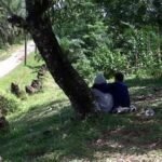 Mencari Kedamaian di Tengah Keramaian: Destinasi Sepi Saat High Season