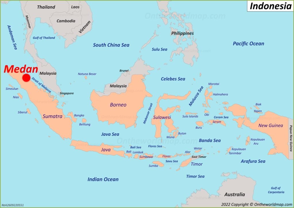 Telepsikiatri di Indonesia: Menjembatani Kesenjangan Layanan Kesehatan Mental di Era Digital