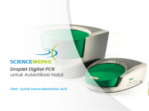 Tentu, mari kita buat artikel tentang update autentikasi digital yang informatif dan mudah dipahami.