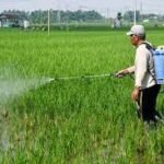Politik Petani dan Masa Depan Pertanian Berkelanjutan di Indonesia