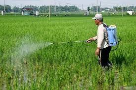 Politik Petani dan Masa Depan Pertanian Berkelanjutan di Indonesia