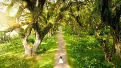 Empat Destinasi Favorit Banyuwangi untuk Akhir Tahun